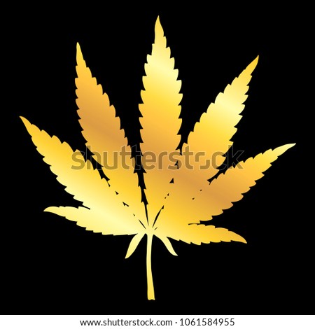 Golden marijuana leaf. Hand drawn narcotic cannabis design element. Hemp vector silhouette illustration isolated over black background.