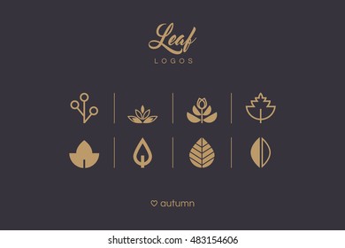 Golden Minimal Leaf And Foliage Logo Icons Collection