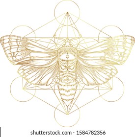 Golden moth over sacred geometry sign, isolated vector illustration. Tattoo flash. Mystical symbols and insects in gold. Alchemy, occultism, spirituality. Hand-drawn vintage.