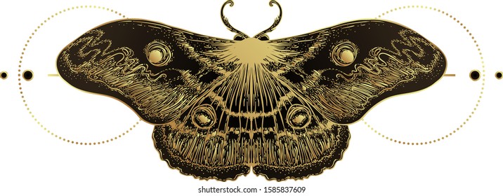 Golden moth over sacred geometry sign, isolated vector illustration. Tattoo flash. Mystical symbols and insects in gold. Alchemy, occultism, spirituality. Hand-drawn vintage.