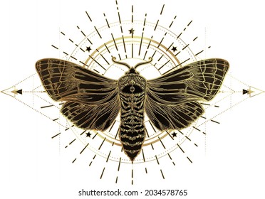 Golden moth over sacred geometry sign, isolated vector illustration. Tattoo flash. Mystical symbols and insects in gold. Alchemy, occultism, spirituality. Hand-drawn vintage.