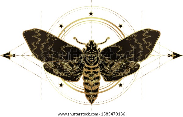 神聖な幾何学記号の上に金色の蛾 分離型ベクターイラスト 刺青が光る 金色の神秘的な象徴と昆虫 錬金術 呪術 霊性 手描きのビンテージ のベクター画像素材 ロイヤリティフリー