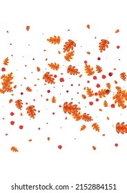 Vector blanco de fondo de roble dorado. Diseño Natural de Hojas. Hojas marrones. Ilustración Agrícola. La Planta Naranja Vibrante.