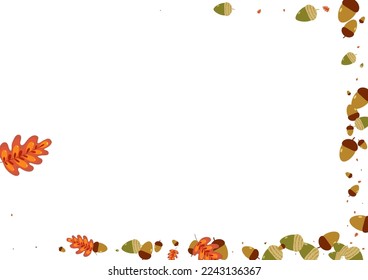 Golden Oak Background White Vector. Plant Elm Set. Orange Herb. Label Illustration. Green Acorn Organic.