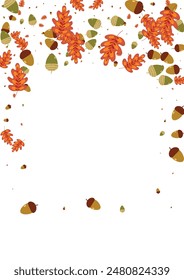 Golden Oak Background White Vector. Leaf Border Design. Orange Herb. Decoration Set. Brown Acorn Landscape.