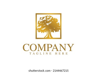 golden oak tree logo design. logo template