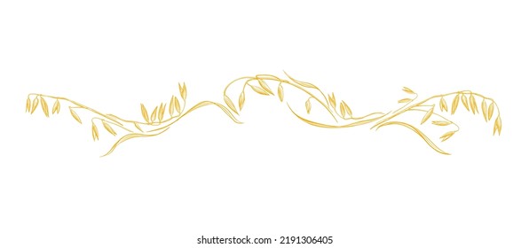 Golden oat, grains. Vector border. Texture strip on white background. Graphic plant. Organic farm product and bio milk