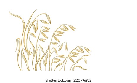 Golden oats. Gathering grains on the field. Texture hand drawn sketch on white background. Graphic plant. Organic farm product and bio milk