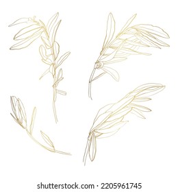 Golden Olive branch. Isolated illustration element. Outline Palm leaf and Olive Branch In a Trendy Minimalist Style. Illustration for printing on Salons, Posters, creating a logo.