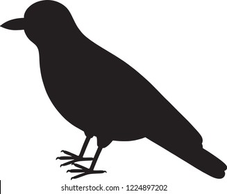 Oriole Images, Stock Photos & Vectors | Shutterstock