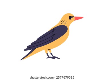 Golden oriole, Eurasian bird profile. Feathered male animal with folded wings, beak, bicolor plumage. Wild forest character. Flat graphic vector illustration isolated on white background