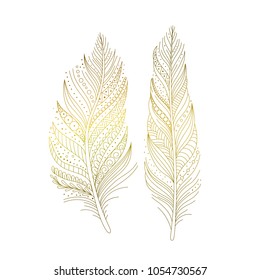 Golden Ornamental Bird Feathers Isolated Hand Stock Vector (Royalty ...