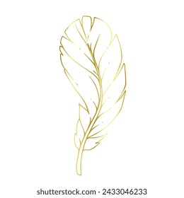 Golden outline of a bird feather. Vector graphics.