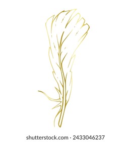 Golden outline of a bird feather. Vector graphics.