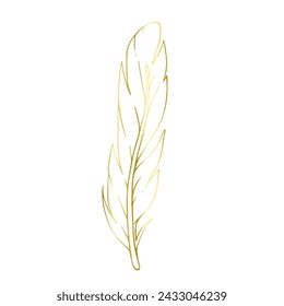 Golden outline of a bird feather. Vector graphics.