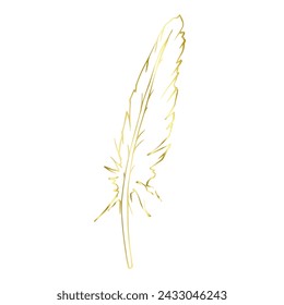 Golden outline of a bird feather. Vector graphics.