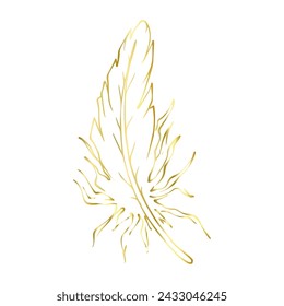 Golden outline of a bird feather. Vector graphics.