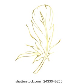 Goldene Umrisse einer Vogelfeder. Vektorgrafik.