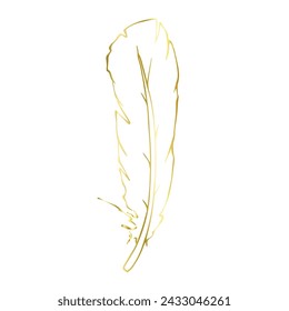 Golden outline of a bird feather. Vector graphics.