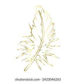 Goldene Umrisse einer Vogelfeder. Vektorgrafik.