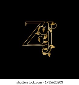 Z And J Hd Stock Images Shutterstock