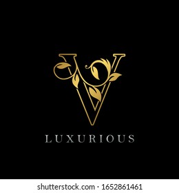 Golden Outline Letter V Luxury Logo Icon, Vintage Gold V Letter Logo Design Template