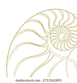 Golden outline of a nautilus shell cross-section on a white background seashell spiral