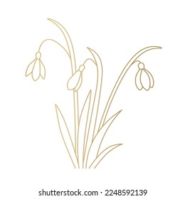 golden outline of snowdrops flowers -vector illustration