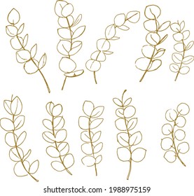 golden outlined stems and foliage of eucalyptus