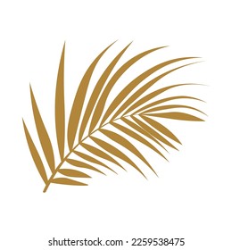 Golden palm leaf on white background