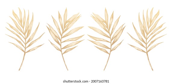 Golden palm leaves. Hand-drawn elements for luxury design. Vector illustration. Gold foil effect.