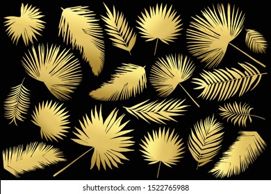 Golden Palm Leaves Kit, Individual Elements On Black Background