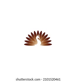 golden peacock vector design for icon, symbol or logo. peacock luxury logo