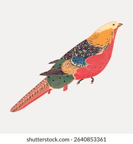 Golden Pheasant Ito Jakuchu's bird vintage illustration, isolated on white, vector.