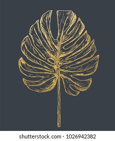 Golden Philodendron Leave. Hand Drawn.