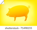 Golden pig