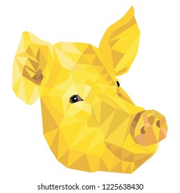 Golden pig vector illustration in polygonal style.  Gold pig zodiac sign isolated on white background