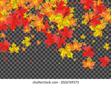 Golden Plant Background Transparent Vector. Leaf Isolated Texture. Green Seasonal Floral. Shape Leaves Design.