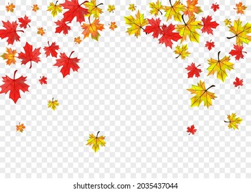 Golden Plant Background Transparent Vector. Floral Down Design. Yellow Wallpaper Leaves. Decor Leaf Illustration.