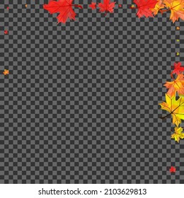 Vector transparente de fondo de planta dorada. Plantilla Floral brillante. Hojas Voladoras Naranjas. Marco De Hojas De Decoración.