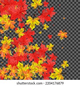 Golden Plant Background Transparent Vector. Floral Celebrate Template. Brown Tree Leaf. Down Foliage Frame.