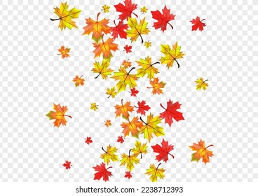 Golden Plant Background Transparent Vector. Foliage Nature Illustration. Red Paper Leaves. Beautiful Leaf Frame.