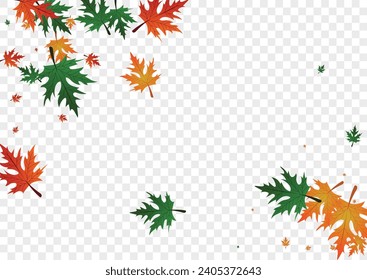 Golden Plant Background Transparent Vector. Maple September Design. Brown Flying. Wallpaper Texture. Green Leaf Bright.