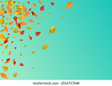 Golden Plant Vector Blue Background. Shape Leaves Texture. Red Wallpaper Floral Card. Ground Illustration.