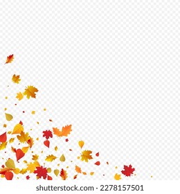 Golden Plant Vector Transparent Background. Abstract Floral Card. Autumnal Pattern Foliage Design. September Frame.