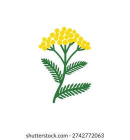 Golden Plate Yarrow Vector Flat 2D Bright Yellow Flower Heads Deep Green Leaves Illustration