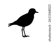 Golden plover silhouette vector flat illustration design.