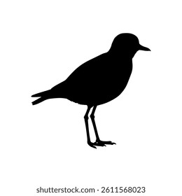 Golden plover silhouette vector flat illustration design.
