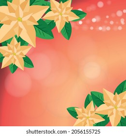 Golden poinsettia Flower, Euphorbia Pulcherrima, Nochebuena flower on red background and lights. Christmas elements for your designs tags, or gretting cards