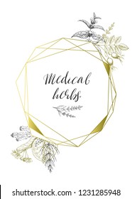 Golden polygonal frame from medical flowers and herbs. Wild healing plants. Vintage flowers. Hand drawing vector illustration. Engravings style. Botanical elegant background. Pharmacy herbs.